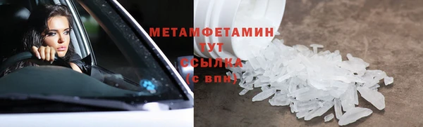 ПСИЛОЦИБИНОВЫЕ ГРИБЫ Белоозёрский