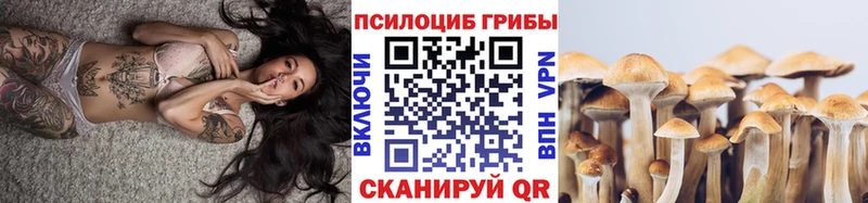 Псилоцибиновые грибы GOLDEN TEACHER ссылка на мегу ТОР Бородино цена
